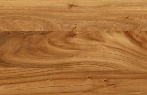Primo piano sul caratteristico pattern del legno di olmo
