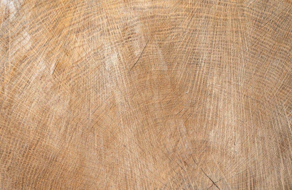Primo piano sul caratteristico pattern del legno di farnia