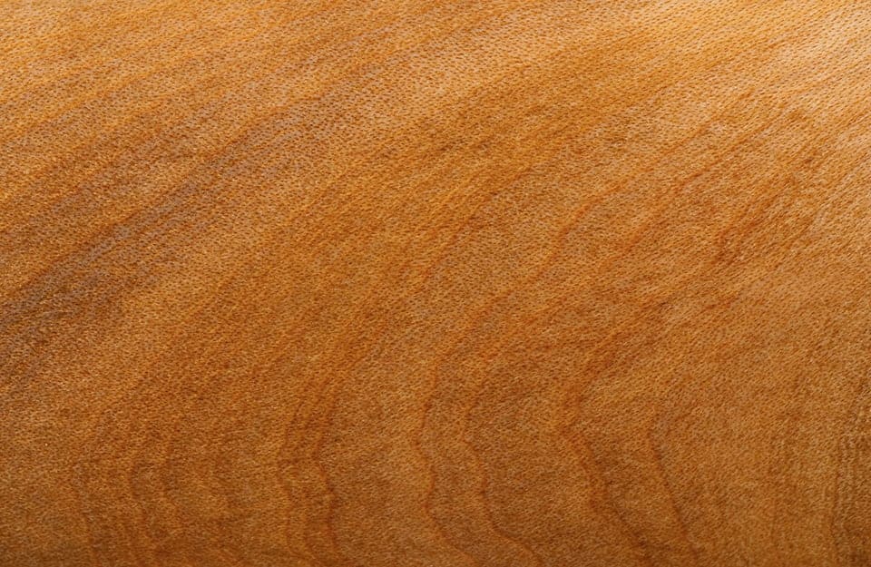 Dettaglio sulla texture di una tavola in legno di madrone del Pacifico