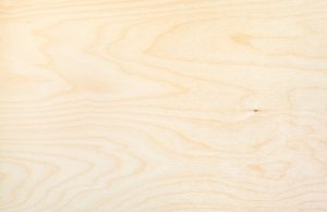 Primo piano sul caratteristico pattern del legno di betulla