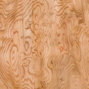 Primo piano sul caratteristico pattern del legno di cedro giapponese