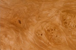 Primo piano sul caratteristico pattern del legno di madrona