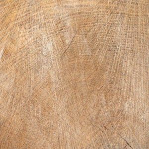 Primo piano sul caratteristico pattern del legno di fania