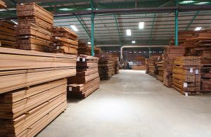Il capannone di una grande falegnameria indonesiana con numerose cataste di tavole di legno di bangkirai