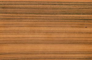 Dettaglio della texture tipica di un legno di paldao