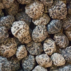 Semi di paldao, con il loro caratteristico “disegno”