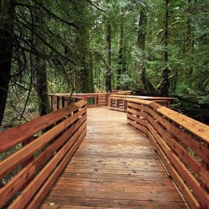 Una passerella in legno di abete di Douglas che passa all'interno del