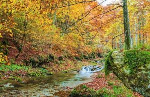 Scorcio delle cascate dell'Arzino, in Friuli-Venezia Giulia, con l'esplosione dei colori delle piante nella stagione autunnale