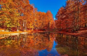 Gli alberi pieni di foglie gialle e rosse si specchiano in uno piccolo stagno sul Monte Livata, nella catena dei Monti Simbruini, tra Lazio e Abruzzo
