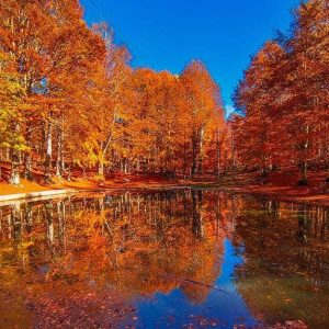 Gli alberi pieni di foglie gialle e rosse si specchiano in uno piccolo stagno sul