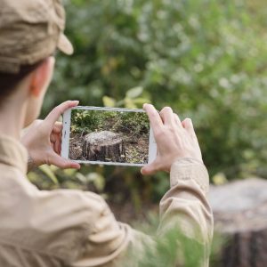 Una donna in divisa, vista da dietro in un bosco, fotografa con uno smartphone il ceppo di un albero tagliato, che si vede sullo schermo del telefono