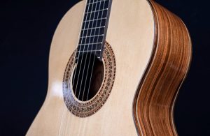 Chitarra acustica con fasce in pau ferro