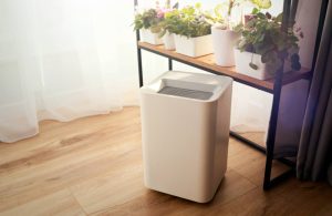 Un purificatore d'aria sotto a una console con molte piantine in vaso, in una stanza con parquet