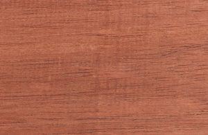 La caratteristica texture di un'asse in legno di andiroba