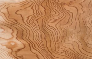 Caratteristica texture del legno di cedro giapponese