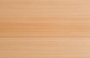 Caratteristica texture del legno di cedro giapponese