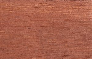 Caratteristica texture del legno di cedro spagnolo